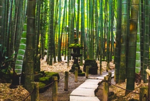 東京発：鎌倉・江ノ島1日プライベートツアー