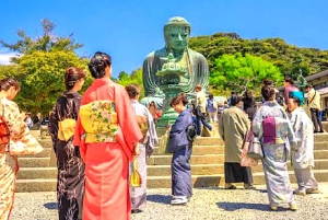東京発：鎌倉・江ノ島1日プライベートツアー