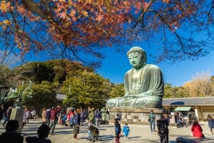 Fra Tokyo: Kamakura heldagstur med en lokal ekspertguide
