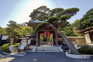 Fra Tokyo: Kamakura heldagstur med en lokal ekspertguide