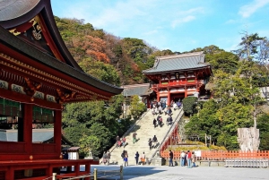 Da Tokyo: Tour guidato di un giorno a Kamakura con un abitante del posto