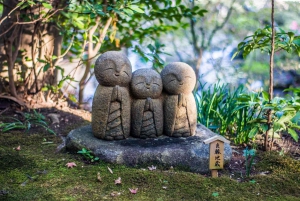 Da Tokyo: Tour guidato di un giorno a Kamakura con un abitante del posto