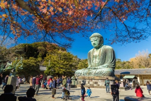 Da Tokyo: Tour guidato di un giorno a Kamakura con un abitante del posto