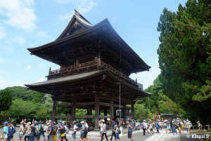 Da Tokyo: Tour guidato di un giorno a Kamakura con un abitante del posto