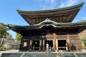 Da Tokyo: Tour guidato di un giorno a Kamakura con un abitante del posto