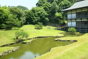 Da Tokyo: Tour guidato di un giorno a Kamakura con un abitante del posto