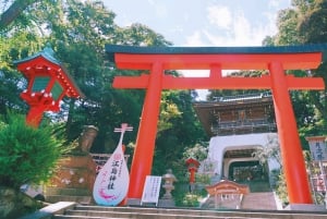 From Tokyo: Kamakura, Hachimangu Shrine & Enoshima Day Tour