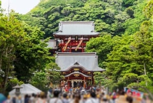 Vanuit Tokio: Kamakura Private Customize Tour per luxe busje