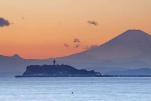 Vanuit Tokio: Kamakura Private Customize Tour per luxe busje