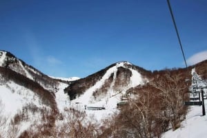 From Tokyo: Kawaba Ski Day Trip with Ski Equipment/Clothing