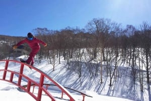 From Tokyo: Kawaba Ski Day Trip with Ski Equipment/Clothing