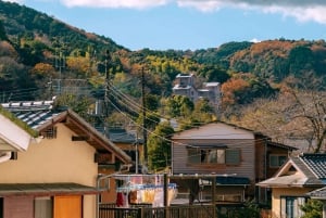 From Tokyo: Kawazu Sakura, Strawberry & Hot Spring Day Tour