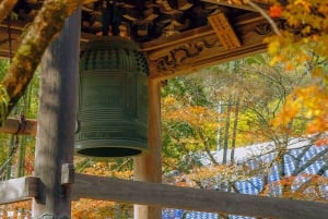 From Tokyo: Kawazu Sakura, Strawberry & Hot Spring Day Tour