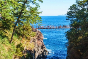 From Tokyo: Kawazu Sakura, Strawberry & Hot Spring Day Tour