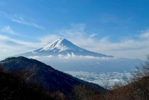Från Tokyo: Kyoto, Fuji-berget och Hiroshima guidad tur