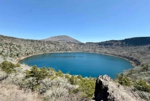 Från Tokyo: Kyoto, Fuji-berget och Hiroshima guidad tur