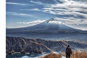 Koko päivän yksityinen kierros Fujille Tokiosta (mukautettavissa)