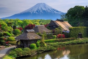 Tokyo: 6 punti panoramici del Monte Fuji - Lago Yamanaka, Oshino Hakkai