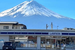Tokyo: 6 punti panoramici del Monte Fuji - Lago Yamanaka, Oshino Hakkai