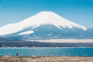 Tokyo: 6 punti panoramici del Monte Fuji - Lago Yamanaka, Oshino Hakkai