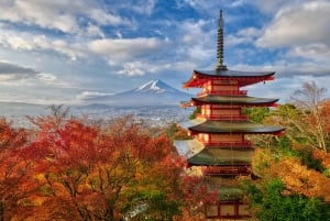 Tokyo: 6 punti panoramici del Monte Fuji - Lago Yamanaka, Oshino Hakkai