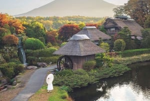 Tokyo: 6 punti panoramici del Monte Fuji - Lago Yamanaka, Oshino Hakkai