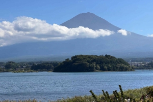 From Tokyo: Mount Fuji And Hakone Private Full Day Trip