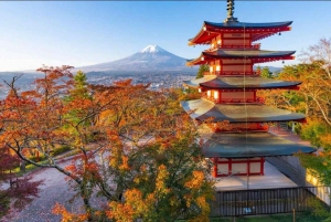 From Tokyo: Mount Fuji And Hakone Private Full Day Trip