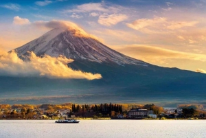 From Tokyo: Mount Fuji And Hakone Private Full Day Trip