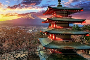 From Tokyo: Mount Fuji And Hakone Private Full Day Trip