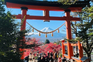 From Tokyo: Mount Fuji And Hakone Private Full Day Trip