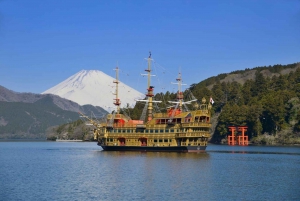 From Tokyo: Mount Fuji And Hakone Private Full Day Trip