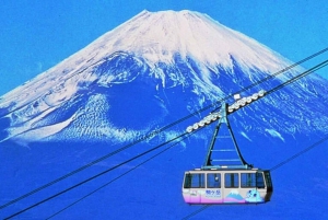 From Tokyo: Mount Fuji And Hakone Private Full Day Trip