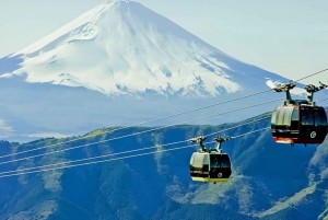 From Tokyo: Mount Fuji And Hakone Private Full Day Trip