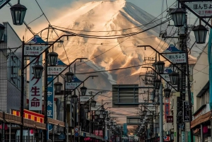 From Tokyo: Mount Fuji And Hakone Private Full Day Trip