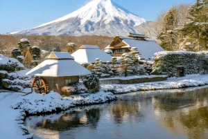 From Tokyo: Mount Fuji And Hakone Private Full Day Trip