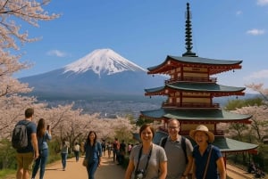 Tour privado de día completo al monte Fuji desde Tokio (personalizable)