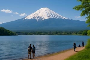 Tour privado de día completo al monte Fuji desde Tokio (personalizable)