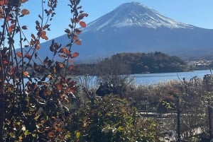 Von Tokio: Private Tagestour zum Fuji mit englischsprachigem Guide