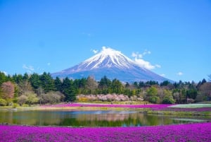 Vanuit Tokio: Fuji Berg Privé Dagtrip met chauffeur