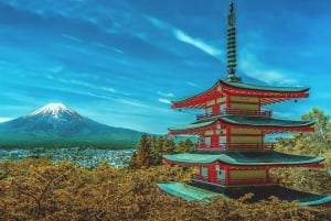 Vanuit Tokio: Fuji Berg Privé Dagtrip met chauffeur