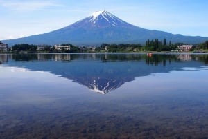 Vanuit Tokio: Fuji Berg Privé Dagtrip met chauffeur