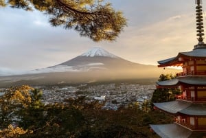 Vanuit Tokio: Fuji Berg Privé Dagtrip met chauffeur