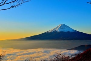 Vanuit Tokio: Fuji Berg Privé Dagtrip met chauffeur