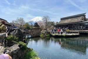 Vanuit Tokio: Fuji Berg Privé Dagtrip met chauffeur