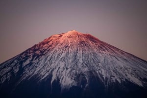 Vanuit Tokio: Fuji Berg Privé Dagtrip met chauffeur