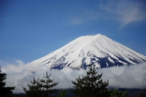 Vanuit Tokio: Fuji Berg Privé Dagtrip met chauffeur