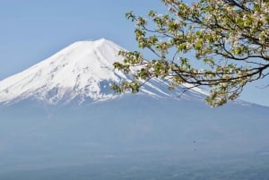 Vanuit Tokio: Fuji Berg Privé Dagtrip met chauffeur