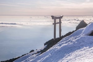 Vanuit Tokio: Fuji Berg Privé Dagtrip met chauffeur