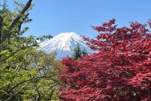 Vanuit Tokio: Fuji Berg Privé Dagtrip met chauffeur